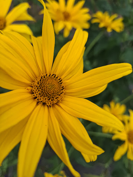August-Momente: Die Farben des Wandels erleben